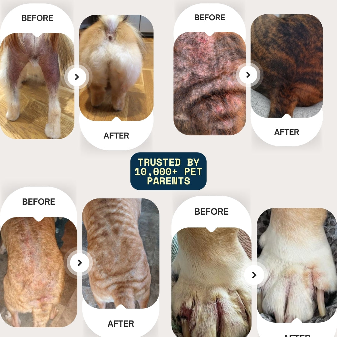 Vet-backed skin relief spray