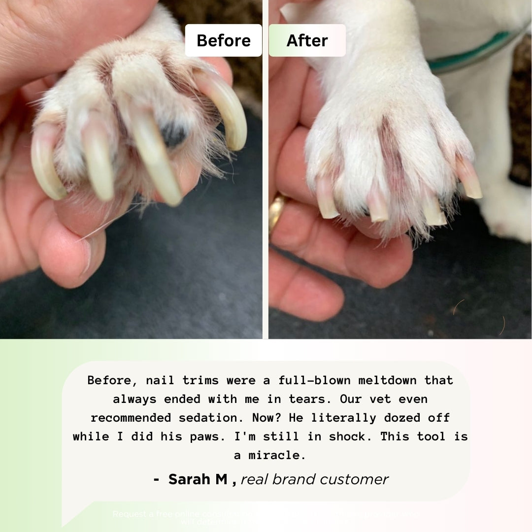 Nail Groomer Pro