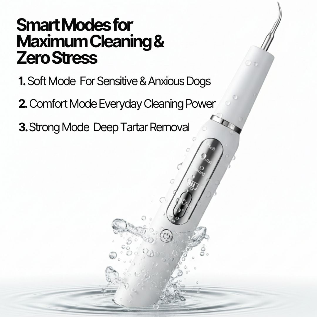 Ultradental Cleaning Kit