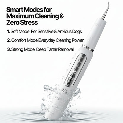 Ultradental Cleaning Kit