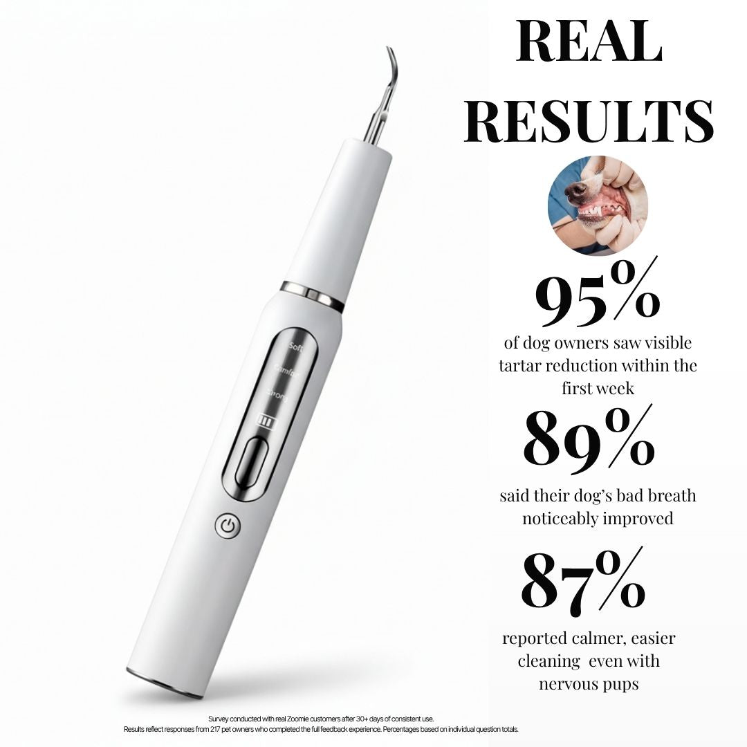 Ultradental Cleaning Kit