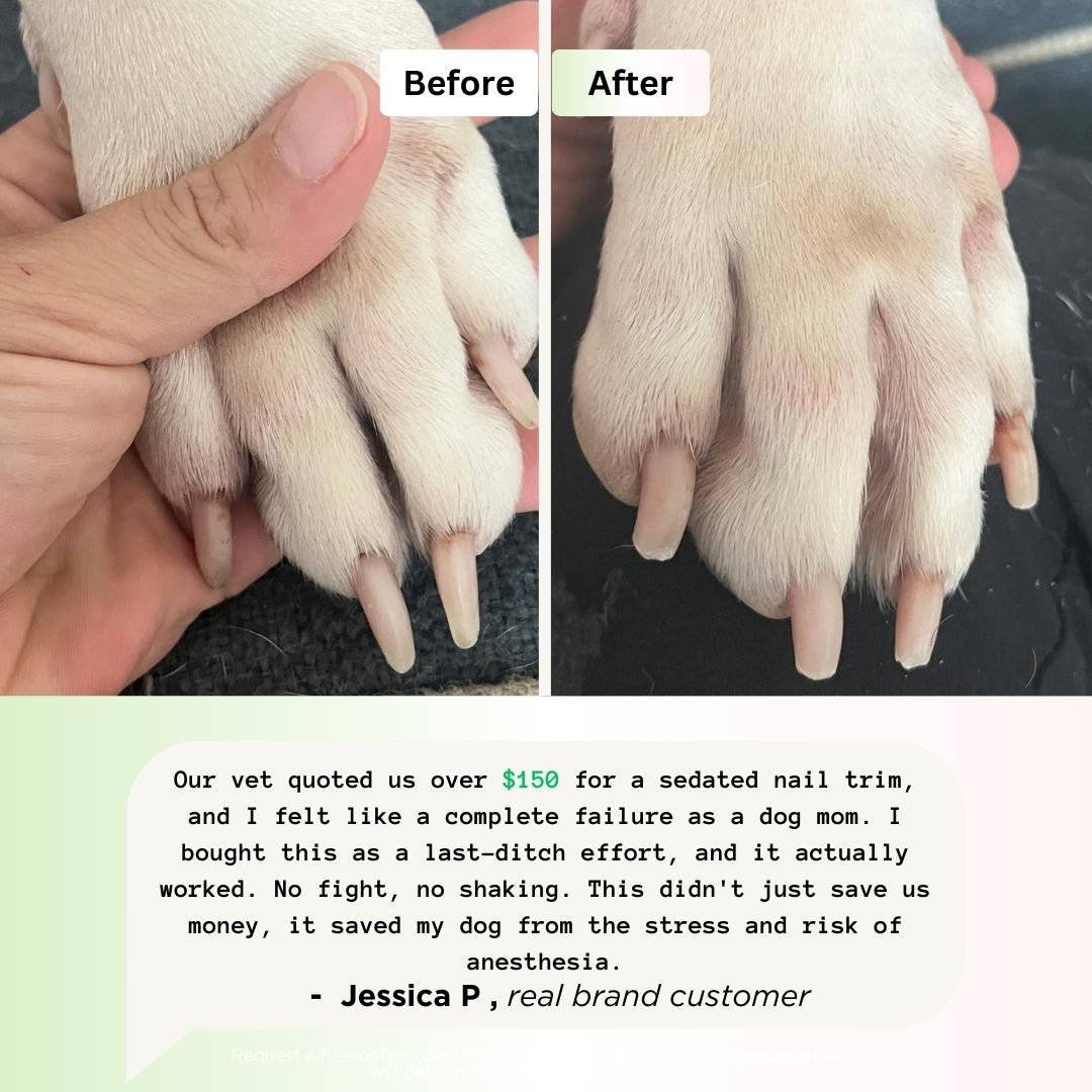 Nail Groomer Pro