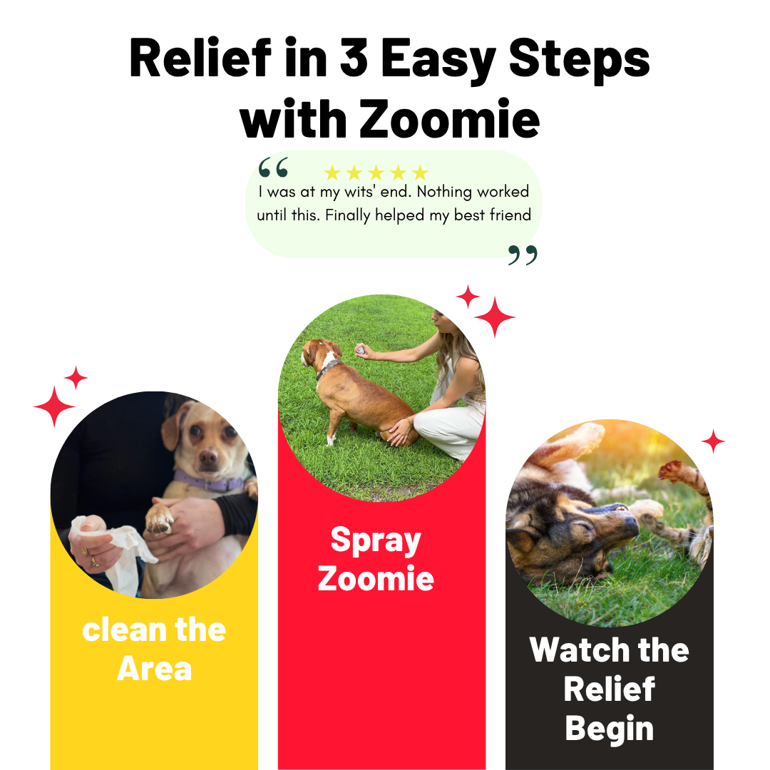 Vet-backed skin relief spray